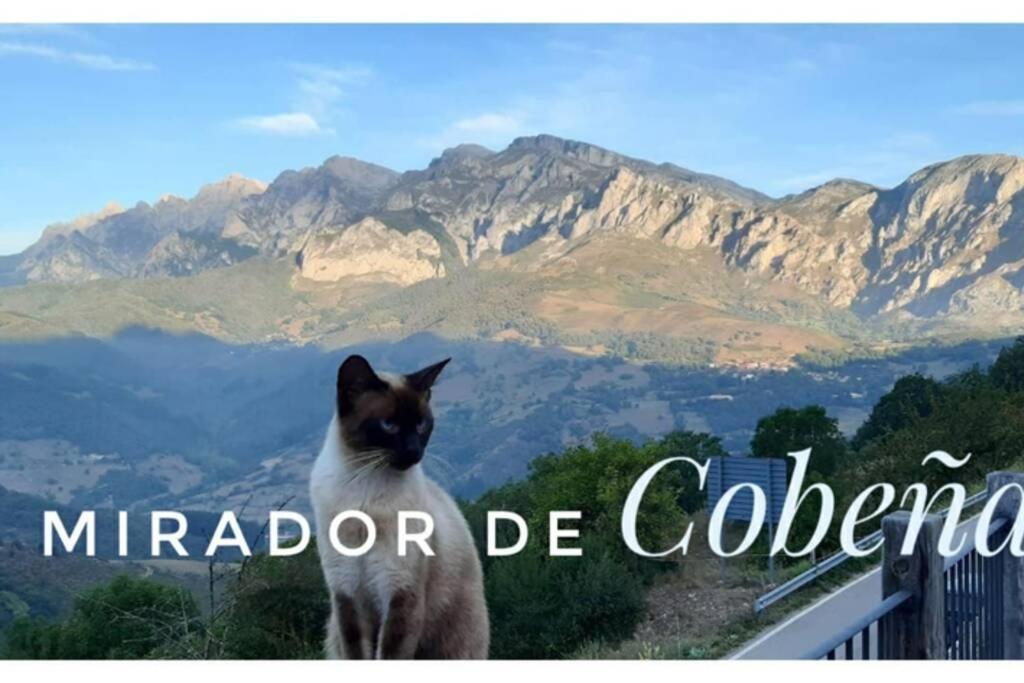 Апартаменти El Mirador De Cobena Ii. Aires De Liebana En Picos Екстер'єр фото